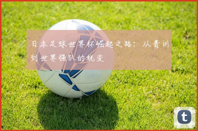 日本足球世界杯崛起之路：从青训到世界强队的蜕变