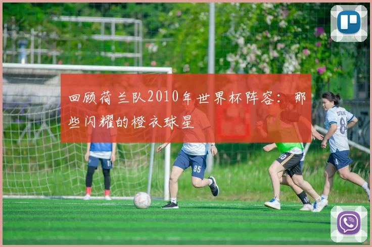 回顾荷兰队2010年世界杯阵容：那些闪耀的橙衣球星