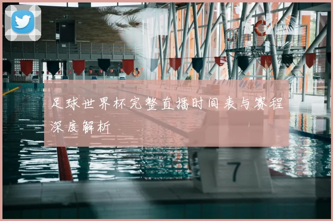 足球世界杯完整直播时间表与赛程深度解析