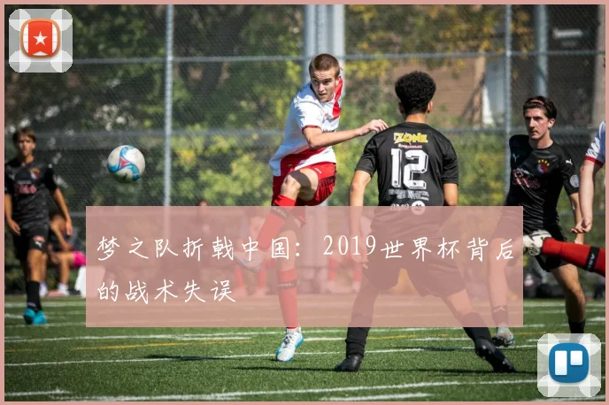 梦之队折戟中国：2019世界杯背后的战术失误